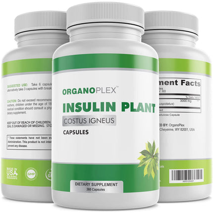 ORGANOPLEX - Insulin Plant Capsules (Costus Igneus), 100% Natural Supplement, 360 Veggie Caps (2 Month Supply) - Insulin Plant