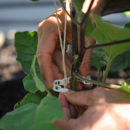 Compostable Trellis Clips (Compostable, 100, Units)
