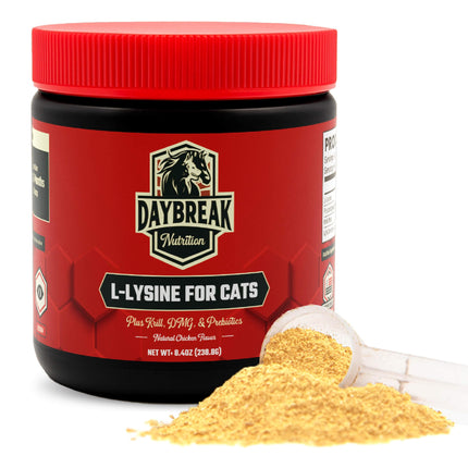 Daybreak Nutrition Lysine for Cats 900mg Powder - L-Lysine with 4 Active Ingredients for Immune and Respiratory Support - Made in USA Feline Supplement with 120 Servings