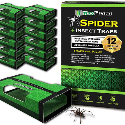 MaxGuard Spider + Insect Traps (12 pcs Box Trap) | Non-Toxic Extra Sticky Glue Traps, Kill Black Widow Hobo Brown Recluse Spiders and Other Crawling Bugs & Insects |