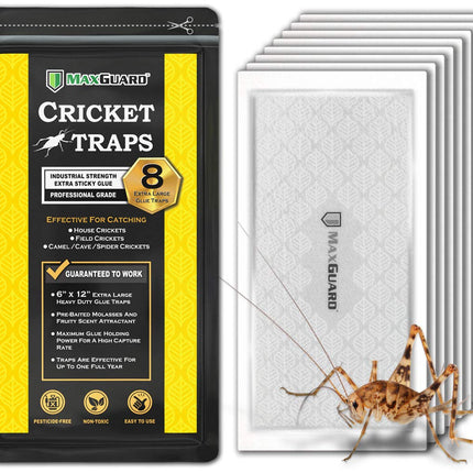 MaxGuard Extra Large Cricket Traps (8 Traps) | Non-Toxic Extra Sticky Glue Board Pre-Baited Cricket Attractant Trap & Kill House Crickets, Insects, Spiders, Bugs