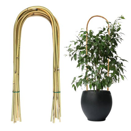 20 Pack Bamboo U Trellis for Potted Plants - 16 Inch U-Shaped Plant Support Hoop, Heavy-Duty Arch Stake for Climbing Vines Cucumbers, Indoor/Outdoor Rustic Garden Training Frame