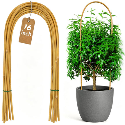 Coloch 20 Pack Bamboo U Trellis Support, 16 Inch U Loop Plant Stake Arch Garden Trellis for Potted Plants, Climbing Flowers and Vines, Ivy, Outdoor Planting