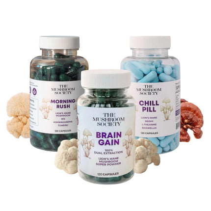 The Mushroom Society Lion Mane Power – Morning Rush, Chill Pill & Brain Gain – Mushroom Supplements for Energy, Focus, Relaxation & Daily Wellness – 3-Pack Bundle – 120 Vegan Capsules Each