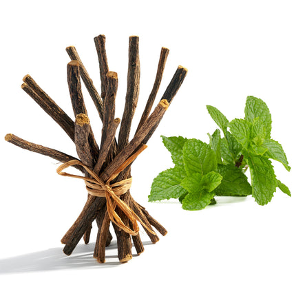 Aroma Depot 16oz. Peppermint Licorice Root Chew Sticks for Humans. 100% Pure Natural | Oral Health & Fresh Breath | Individual Liquorice Chew Sticks are 6.5 inches Long—Glycyrrhiza Glabra from Turkey.