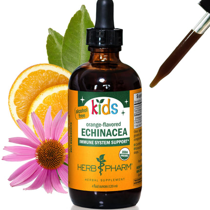 Herb Pharm Kids Certified-Organic Alcohol-Free Echinacea Glycerite Liquid Extract Drops, 4 oz
