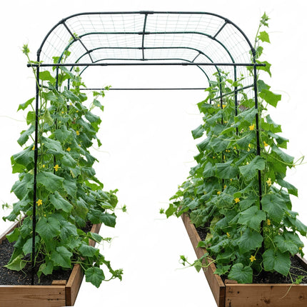 BAXAM Wide Arch Trellis 7FT Extra Tall Garden Trellis Arch – Sturdy Plastic Coated Steel Metal Arch for Garden Climbing Plants & Vegetables, Weather-Resistant Outdoor Cucumber Trellis Arch