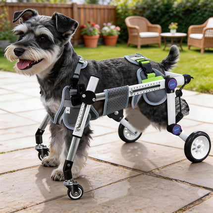 LetPetRun Dog Wheelchair 4 Wheels Adjustable, Full Body Support Dog Cart for Front & Rear Legs, Lightweight Mobility Aid for Disabled Small Dogs (XSLW for 17.5-33.5lbs)