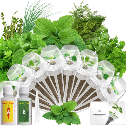 LYKOCLEAN Herb Seed Pod Kit Compatible with AeroGarden Hydroponics Growing System, Complete Indoor Gardening Supply (Herb, 8-pods)