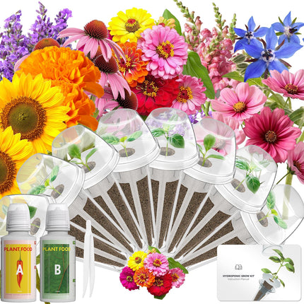 LYKOCLEAN Herb Seed Pod Kit Compatible with AeroGarden Hydroponics Growing System, Complete Indoor Gardening Supply (Vibrant Flower, 8-pods)
