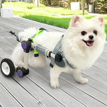 LetPetRun Adjustable Dog Wheelchair for Back Legs Mobility Support Lightweight Pet Wheelchair for Disabled Hind Legs Walking Stable Dog Cart for Pets, X-Small Plus White