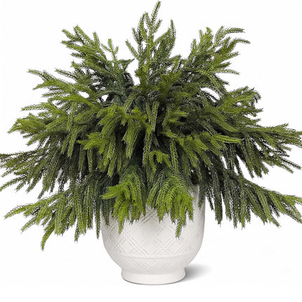 CCPanda 20 Pcs Christmas Artificial Norfolk Pine Branches 18" Real Touch