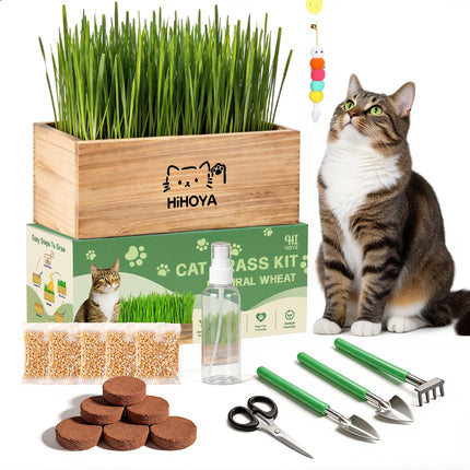 HiHOYA Cat Grass Kit for Indoor Cats - 5 Packets of Seeds, Cat Grass Planter Wooden Growing Kit, 5-Time Plant Starter Pack with 6 Soil Discs, Trimming Scissors, Spray Bottle, and Mini Tools