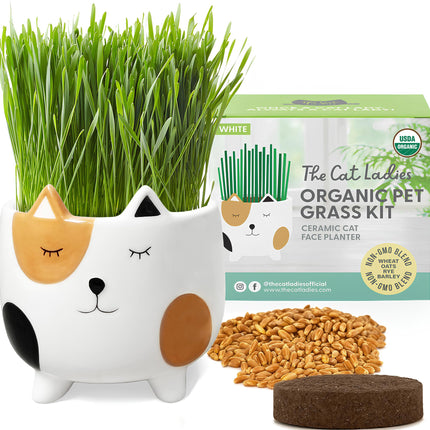 The Cat Ladies Cat Grass for Indoor Cats, Cat Grass Growing Kit with Organic Cat Grass Seed Mix, Soil and Ceramic Cat Planter, Pet Grass for Cats, Natural Hairball Remedy, Cat Gifts