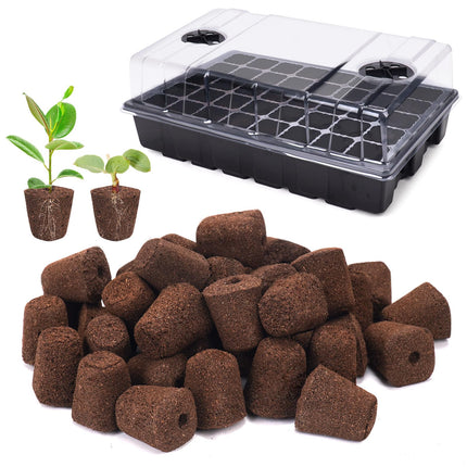 LAPOND 40 Pcs Seed Starter Plugs with Tray, Replacement Grow Sponges Plant Plugs, Great for Soil, Tray or Planting Pods, Promotes Herbs, Vegetables and Flowers Growth