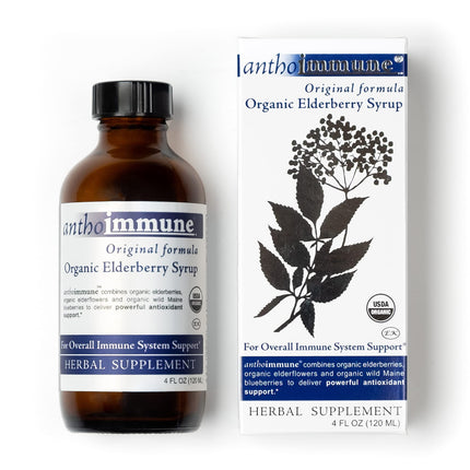 Maine Medicinals Organic Elderberry Syrup - Anthoimmune - Immune Support Supplement for Adults and Kids- USDA Organic, Ultra-Premium Black Elderberry Formula (4 oz) 24 Servings