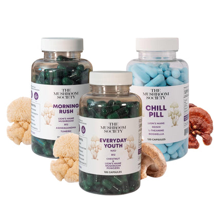 The Mushroom Society All Day Bundle – Morning Rush, Chill Pill & Everyday Youth – Mushroom Supplements for Energy, Focus, Relaxation & Balance – 3-Pack – 120 Capsules Each