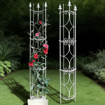 Thealyn Garden Trellis 2 Pack 72'' H x 12'' W Metal Plant Trellis