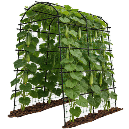 Toriexon Garden Arch Trellis for Climbing Plants