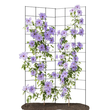 2-Panel Folding Garden Trellis - Maximize Your Garden Space, Durable Powder Coated Steel Frame, Easy-to-Use Design, Perfect for Climbing Vines, Vegetables, Beans, Tomato, Cucumber, 35x58"