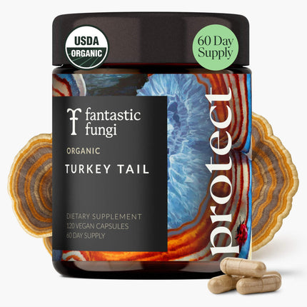 Fantastic Fungi Turkey Tail Mushroom Capsules - Organic Mushroom Extract for Gut Health & Immune Support, Functional Adaptogenic Turkey Tail Extract Supplement, Vegan Pills, 120 Caps (2-Month Supply)