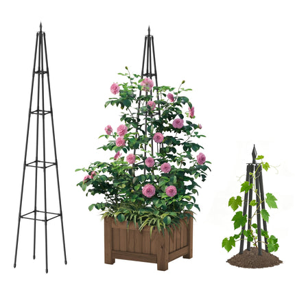 Hsundries 6FT Obelisk Trellis for Climbing Plants Outdoor, 16mm Rust-Proof Extra Thickened Plastic-Coated Metal Pipes, Indoor Climbing Support for Potted Plants, Vines, Flowers Stands,Black