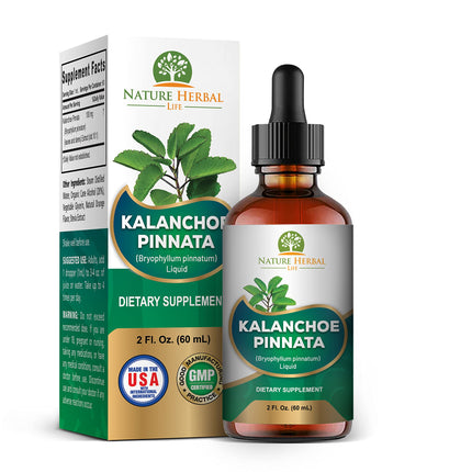 Kalanchoe Pinnata (Bryophyllum Pinnatum), Glycerite, Dried Leaf and Stem Liquid Extract. Herbal Supplement, Antioxidantes de Kalanchoe Pinnata-Siempreviva. 1 Bottle. 2 oz