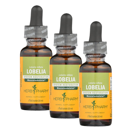 Herb Pharm Certified Organic Lobelia Liquid Extract for Musculoskeletal System Support - 1 Ounce (DLOBEL01) (Pack of 3)