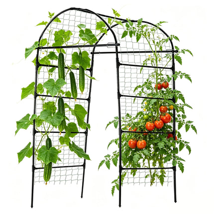 80 Inch Tall Garden Arch Trellis for Climbing Plants Outdoor, Grape Trelli Metal Vine Plants Support Flower Vegetable Tomato (Black, 33" L x 33" W x 80" H - Arch Trellis)