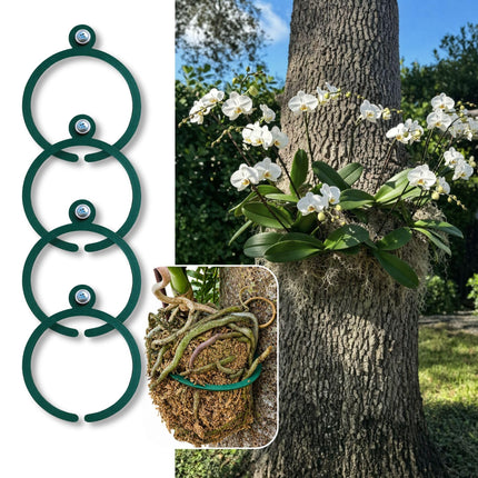 OrchidHug Universal Orchid Mounting Ring – Open Adjustable Design Fits All Orchid Sizes | Mount Orchids on Trees or Walls | Flexible Green Coated Steel with Stainless Screws | Easy Install | 4 Pack
