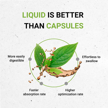 Red Clover Herb USDA Organic Tincture | Alcohol-FREE Extract, High-Potency Herbal Drops | Made from 100% Certified Organic Red Clover Herb (Trifolium Pratense) Dried Leaf and Flower 2 oz