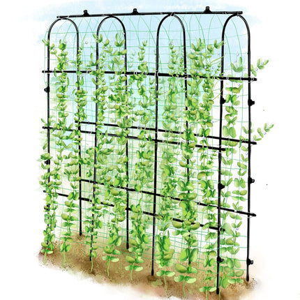 SUMGROW 6 ft Tall, Garden Trellis for Climbing Plants Outdoor with Nylon Net for Cucumbers Vines Beans Raised Bed - Lightweight Metal, Black