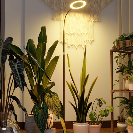 Bamworld Grow Lights for Indoor Plants, Full Spectrum Plant Lights for Indoor Growing, Floor Grow Lamp for Large Plants, Auto ON/Off Timer 3/9/12H, 10 Dimmable Levels, 37-65" Adjustable Height