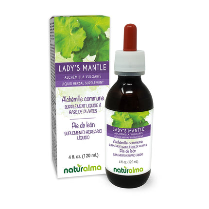 Naturalma Lady's Mantle (Alchemilla vulgaris) herb Alcohol-Free Tincture - 4 fl oz Liquid Extract in Drops - Herbal Supplement - Vegan