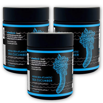 Nova Sea Atlantic Sea Cucumber Supplement, Wild Caught Sea Cucumber Capsules with Fucosylated Vitamins Mineral — Natural Antioxidant Supplement for Elderly Adult Child 120 Count(3 Pack)