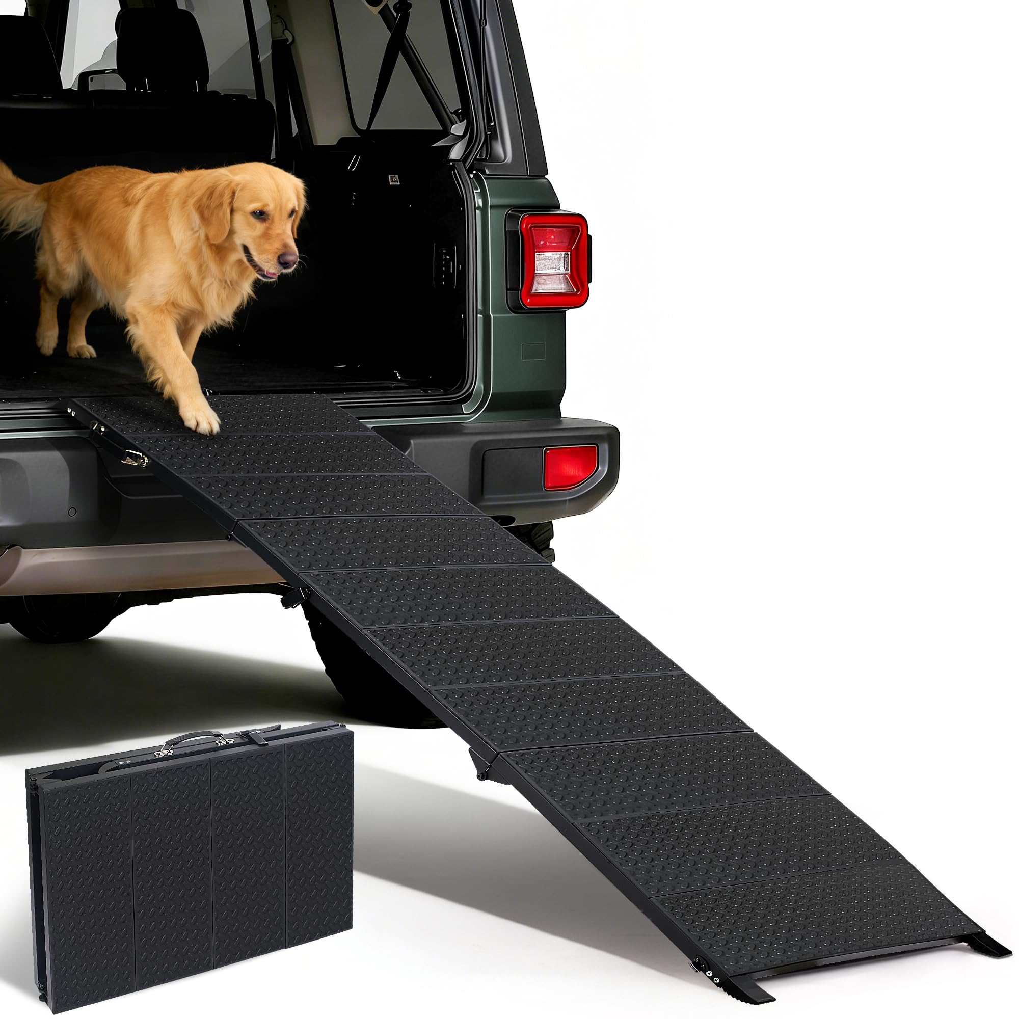 Extra Long Ramps 71