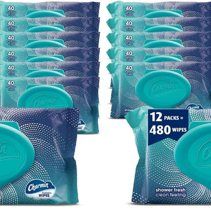 Charmin Flushable Wipes, 960 Total Wipes, 40 Count (Pack of 24)