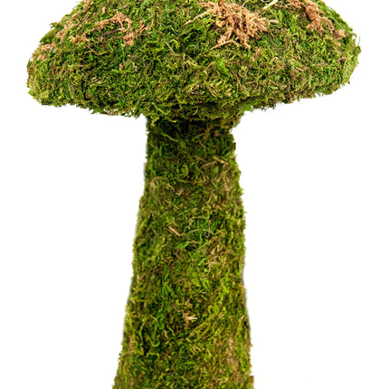 SuperMoss (55271) Deco Moss Small Mushroom, 11", Fresh Green