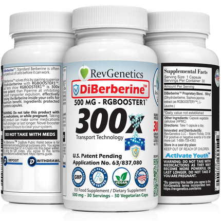 REVGENETICS Berberine Supplement 500mg, Dihydroberberine DHB Enteric Coated Capsules, Healthy Metabolism & AMPK Support, 6.7X Absorption, 1 Daily, Made in USA, 30 Ct, DiBerberine 300x