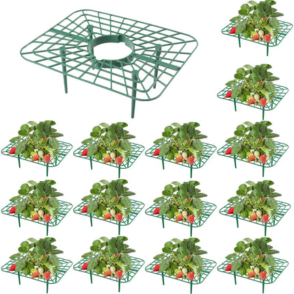 15Packs Strawberry Plant Support, Strawberry Plant Stand Holder Reusable Strawberry Plant Protector Greenhouse Strawberry Trellis Accessories Strawberry Planter for Strawberry Garden Plants