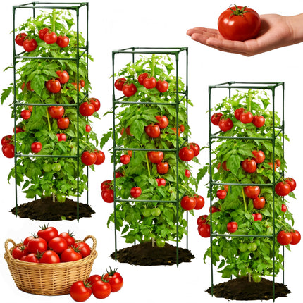 3 Pack Square Tomato Cages for Garden, 59 Inch Tall Heavy Duty Metal Tomato Plant Support Trellis, Adjustable Large Tomato Stakes for Outdoor Pots Climbing Plants, Vegetables, Cucumber