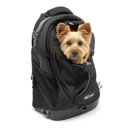 Kurgo G-Train Dog Carrier Backpack - Comfortable Travel Bag for Pets Up to 25 lbs - Waterproof Bottom - Multi-Compartment Pack - Dog Hiking Gear - Rugged Adventure Backpack - Black